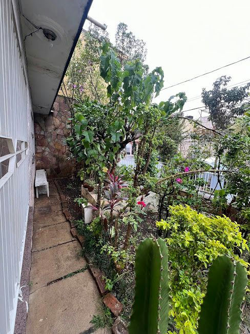 Casa em Vila Califórnia - 180m² | 4 dormitórios | 3 vagas - miniatura 4