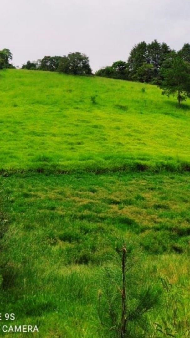 Terreno em Caputera