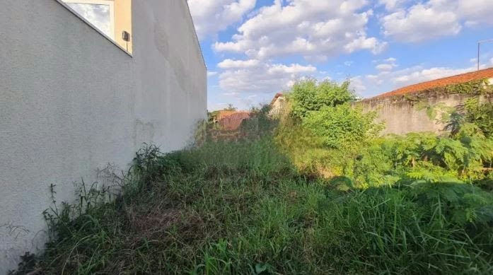 Terreno em Jardim Avelino - 258m² - miniatura 3