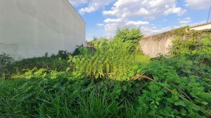 Terreno em Jardim Avelino - 258m² - miniatura 2