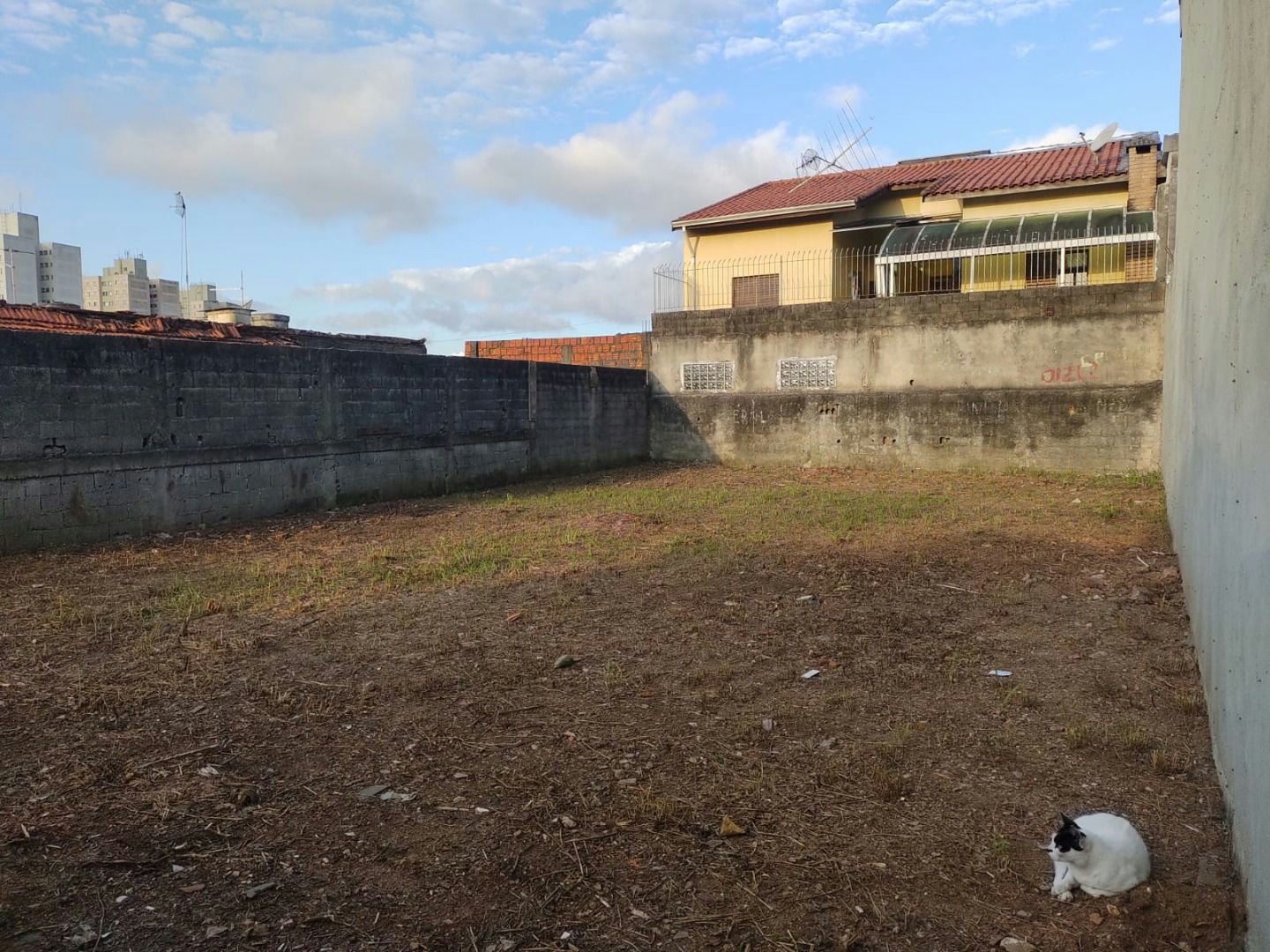 Terreno em Vila Rosa - 200m² - miniatura 2