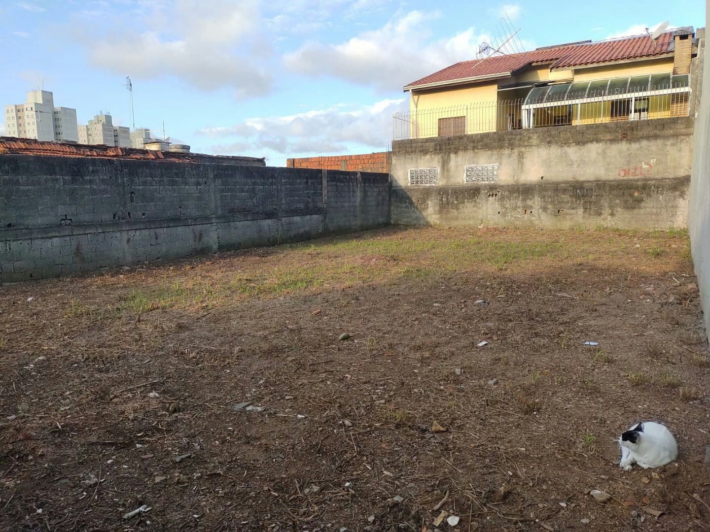 Terreno em Vila Rosa - 200m²