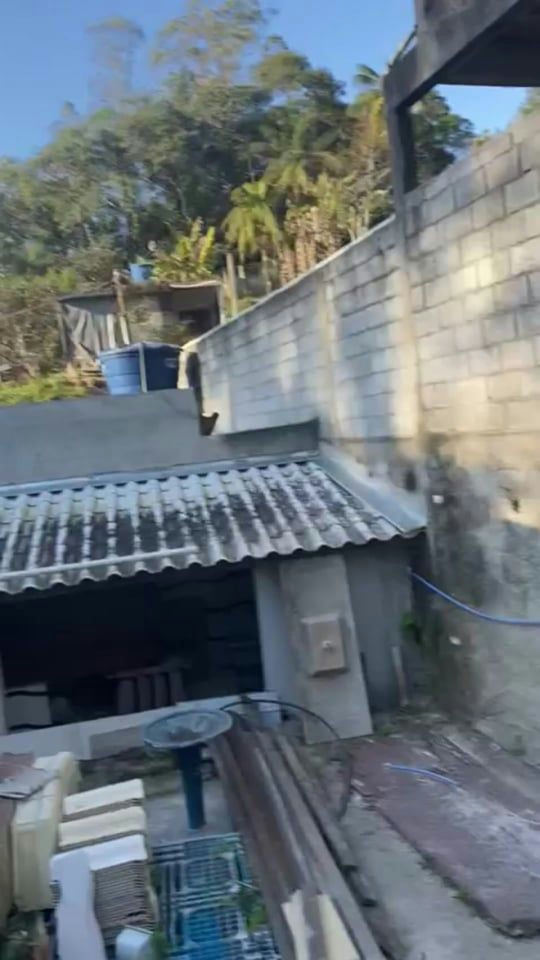 Outro em Taiacupeba - 800m² | 4 dormitórios | 10 vagas - miniatura 5