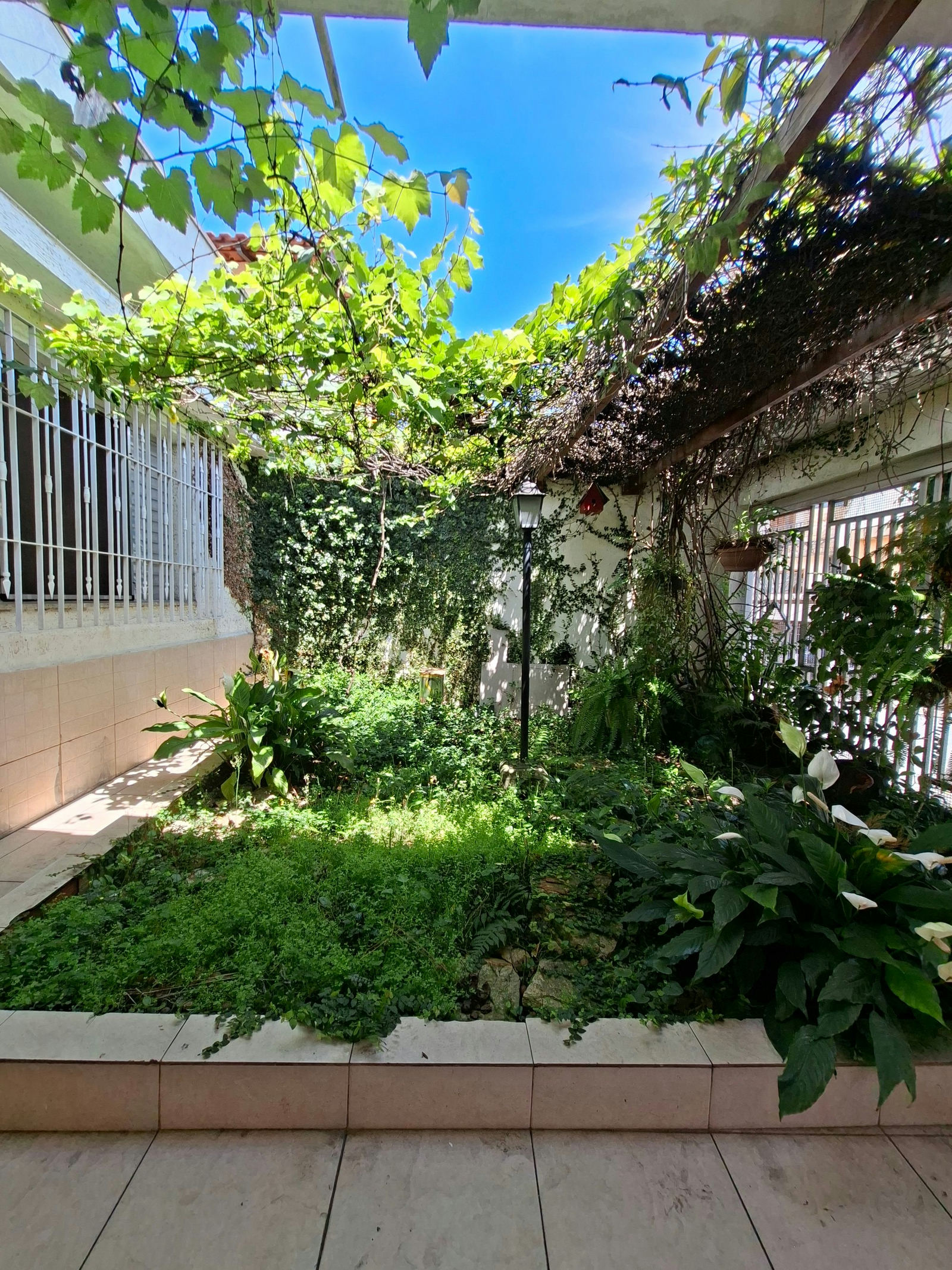 Casa térrea São Lucas - miniatura 3